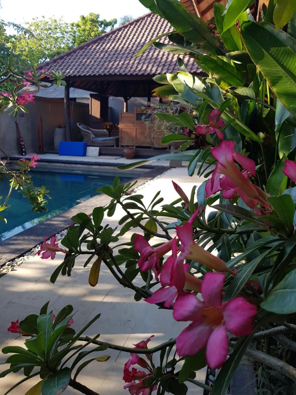 Gili Exotic Villa Гілі-Траванган Екстер'єр фото
