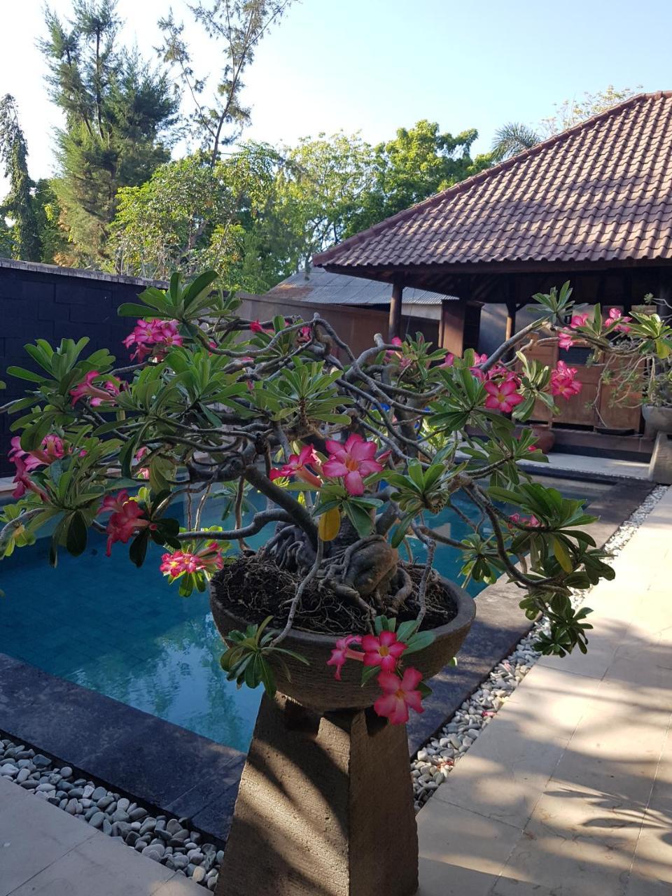 Gili Exotic Villa Гілі-Траванган Екстер'єр фото